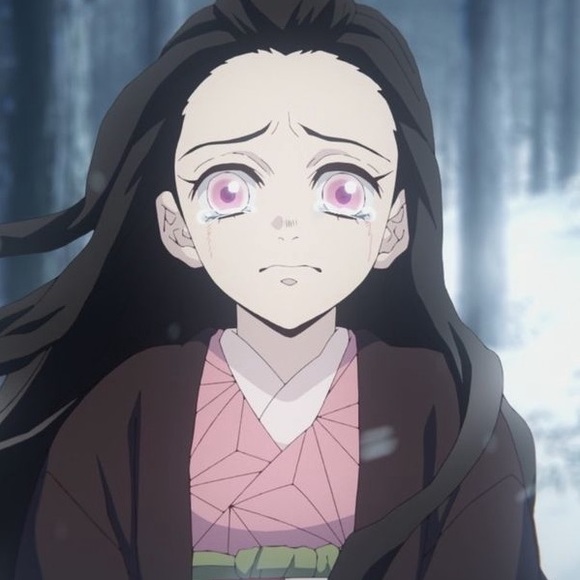 Meet your Posher, Stets - Picture 1 of 1